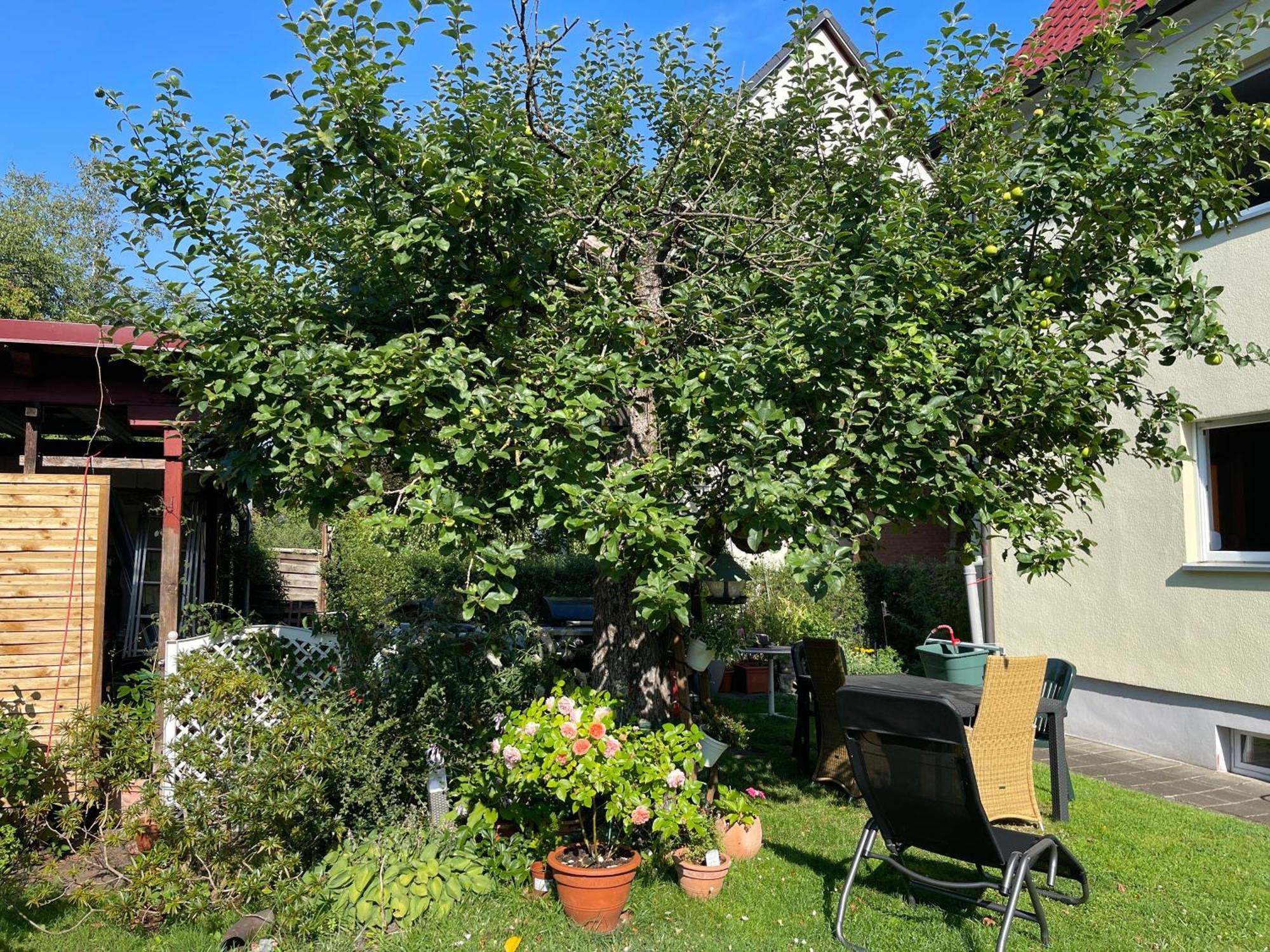 Claudias Apartment - 20 Minuten Bis Messe Nuernberg Zewnętrze zdjęcie